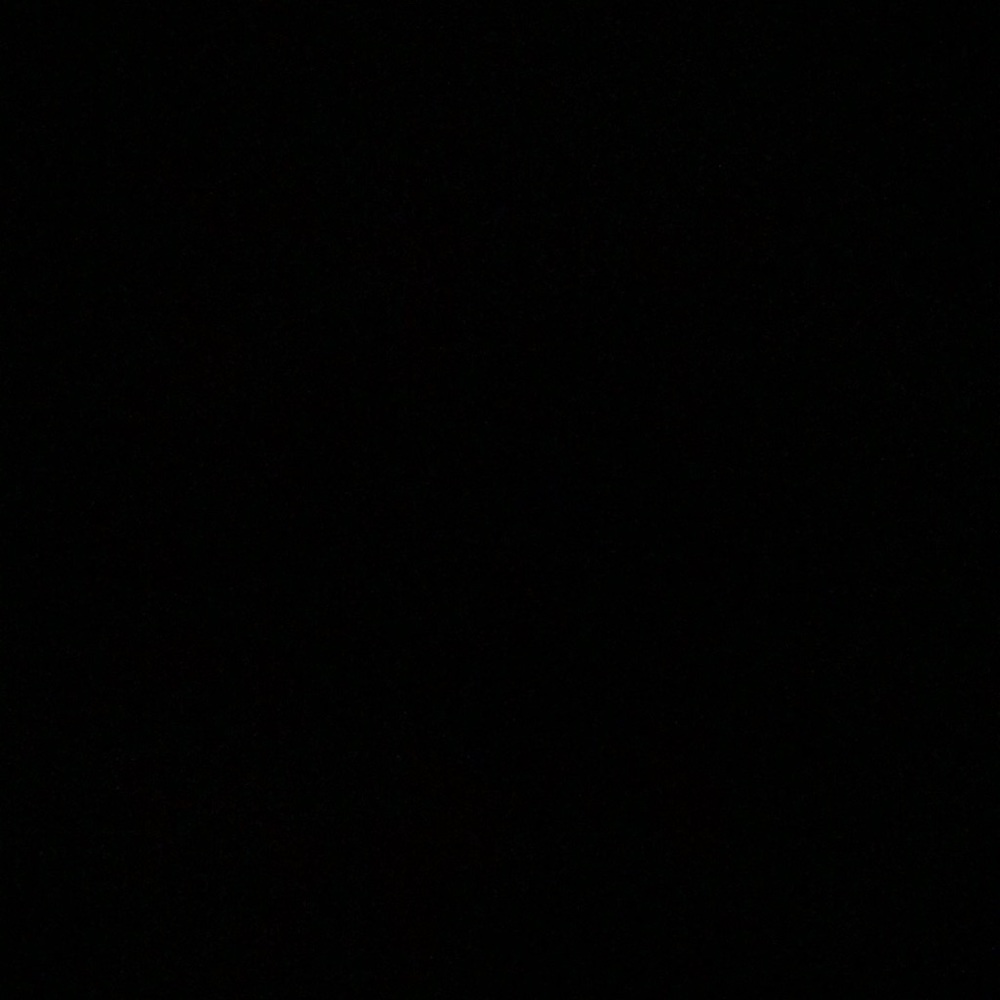 Meet your Posher, Izzy